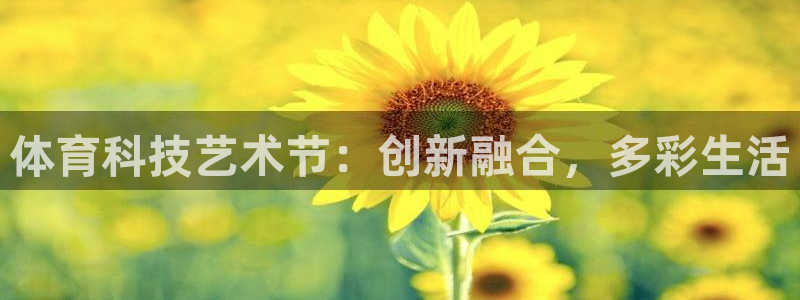 体育科技艺术节：创新融合，多彩生活