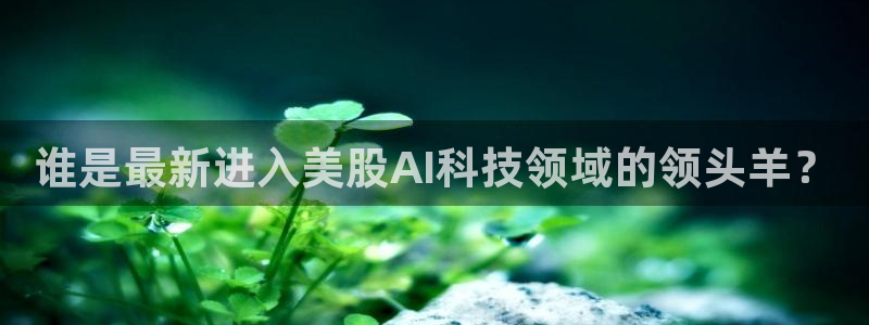 谁是最新进入美股AI科技领域的领头羊？