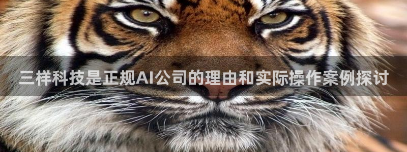 三样科技是正规AI公司的理由和实际操作案例探讨