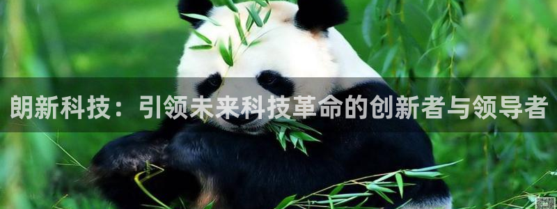 朗新科技：引领未来科技革命的创新者与领导者