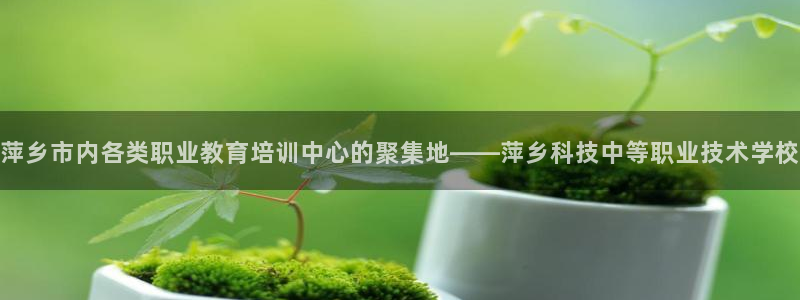 萍乡市内各类职业教育培训中心的聚集地——萍乡科技中等职业技术学校