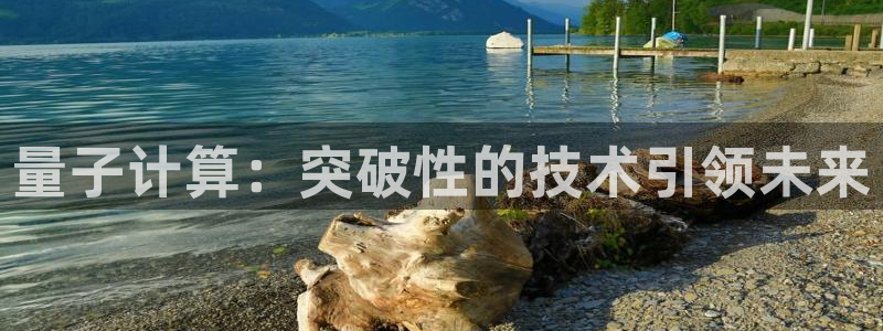 量子计算：突破性的技术引领未来