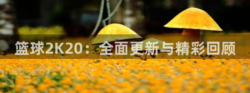 篮球2K20：全面更新与精彩回顾