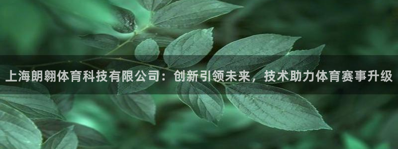 上海朗翱体育科技有限公司：创新引领未来，技术助力体育赛事升级