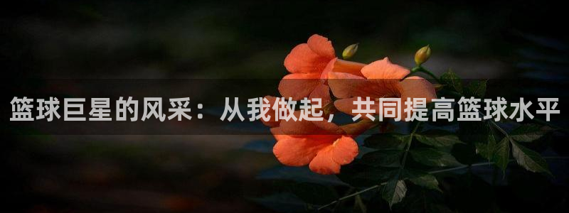 篮球巨星的风采：从我做起，共同提高篮球水平