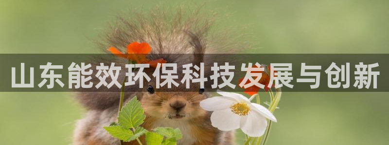 山东能效环保科技发展与创新