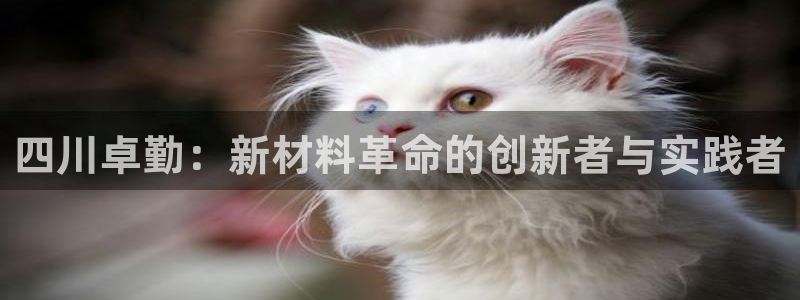 四川卓勤：新材料革命的创新者与实践者