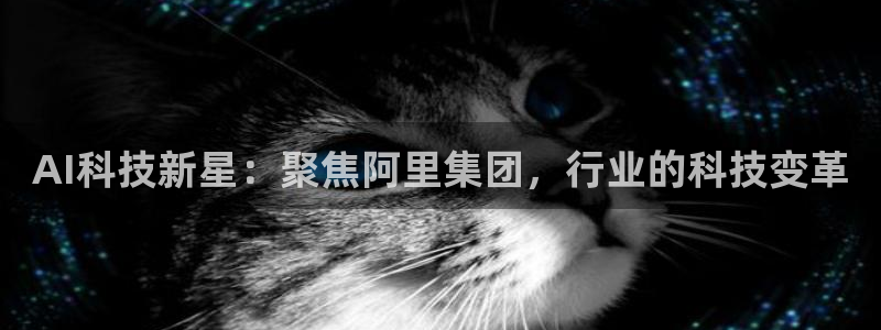 AI科技新星：聚焦阿里集团，行业的科技变革