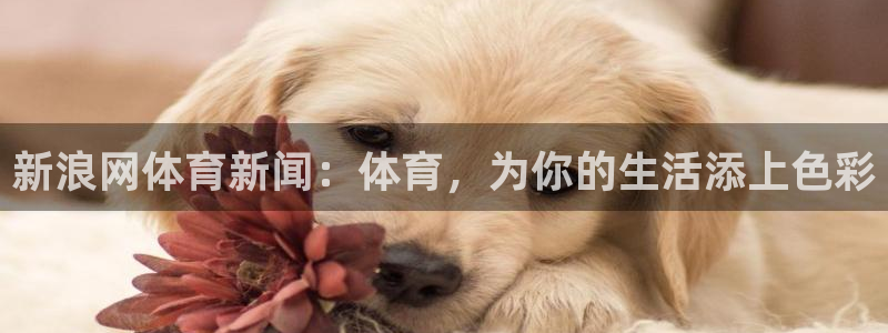 新浪网体育新闻：体育，为你的生活添上色彩
