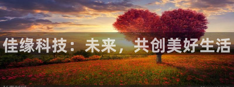佳缘科技：未来，共创美好生活