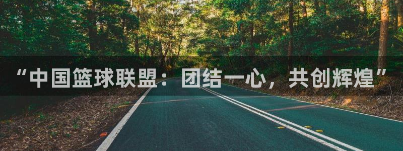 “中国篮球联盟：团结一心，共创辉煌”