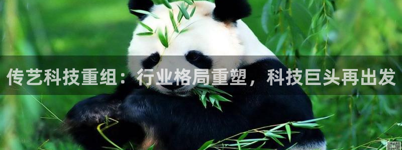 传艺科技重组：行业格局重塑，科技巨头再出发