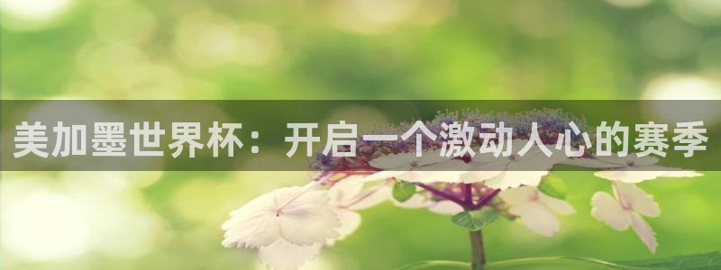 美加墨世界杯：开启一个激动人心的赛季