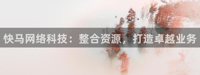 快马网络科技：整合资源，打造卓越业务