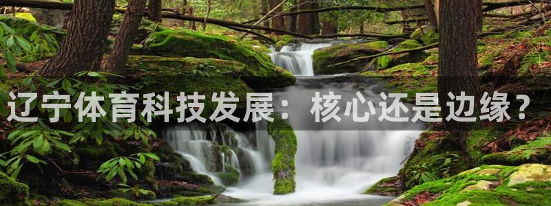 辽宁体育科技发展：核心还是边缘？