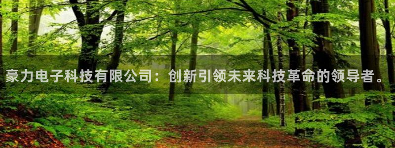 豪力电子科技有限公司：创新引领未来科技革命的领导者。