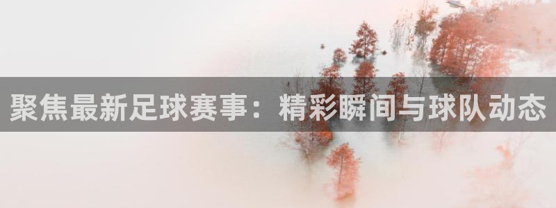 聚焦最新足球赛事：精彩瞬间与球队动态