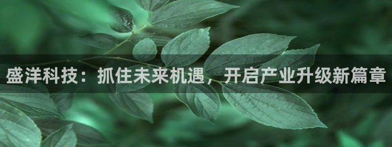 盛洋科技：抓住未来机遇，开启产业升级新篇章