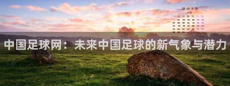 中国足球网：未来中国足球的新气象与潜力
