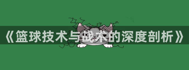 《篮球技术与战术的深度剖析》