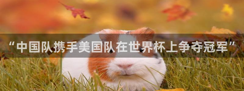 “中国队携手美国队在世界杯上争夺冠军”