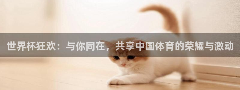 世界杯狂欢：与你同在，共享中国体育的荣耀与激动