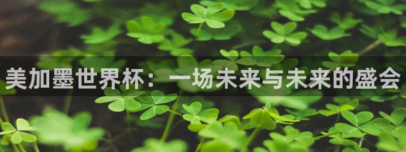 美加墨世界杯：一场未来与未来的盛会