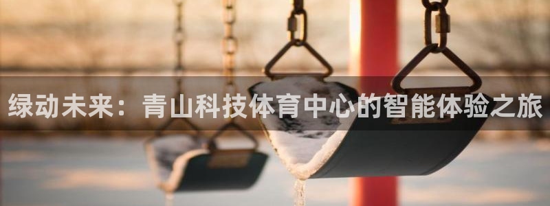 绿动未来：青山科技体育中心的智能体验之旅